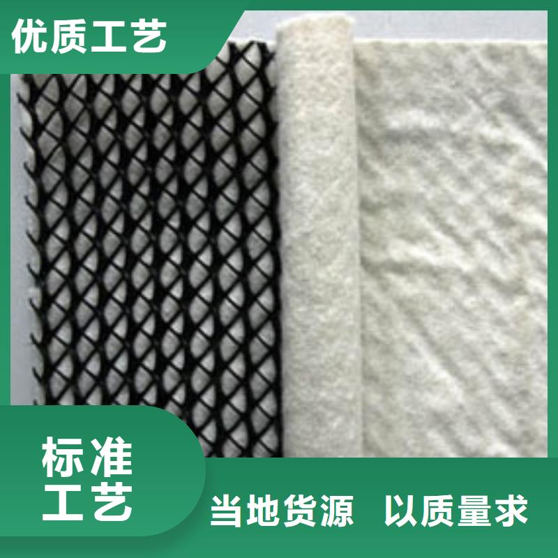 排水網(wǎng)_三維排水網(wǎng)_復(fù)合土工排水網(wǎng)價(jià)格_三維復(fù)合排水網(wǎng)