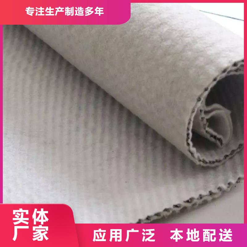 塑料排水網_三維土工排水板_排水網_三維排水網_三維復合排水網