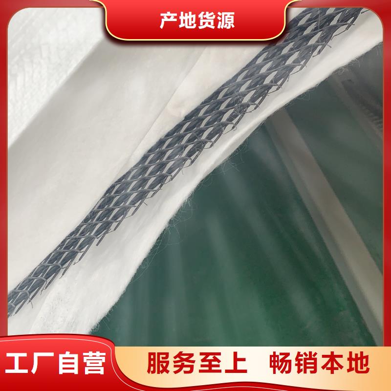 三維復(fù)合排水網(wǎng),土工席墊質(zhì)量看得見