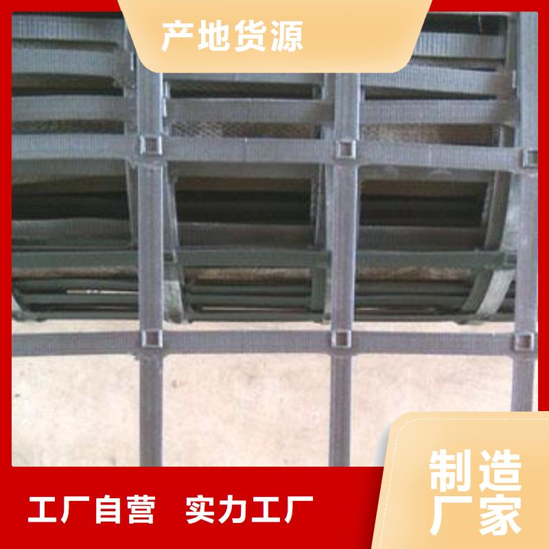 鋼塑土工格柵生產廠家、實力廠家
