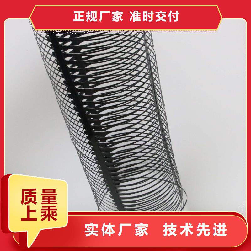 塑料土工格柵反濾土工布定金鎖價