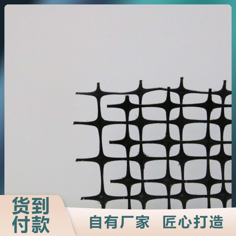 塑料土工格柵,防滲膜顏色尺寸款式定制