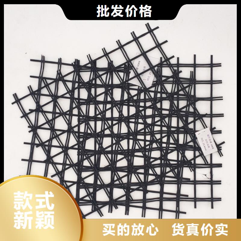 2025玻纖土工格柵生產基地