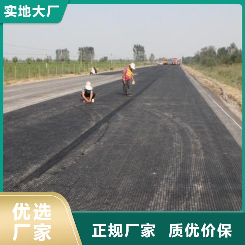 玻璃纖維土工格柵塑料土工格柵定制零售批發(fā)