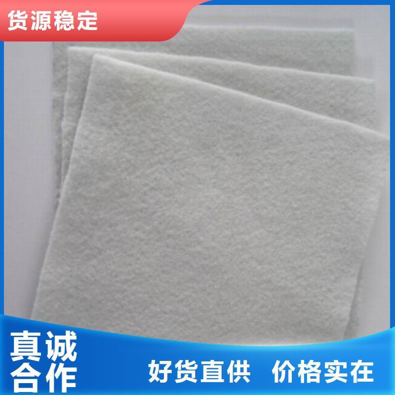 土工布生產(chǎn)廠家-現(xiàn)貨供應(yīng)