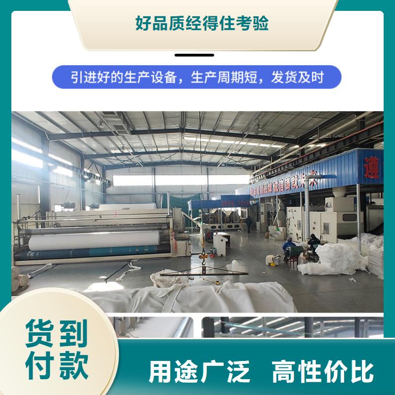 土工布復合土工膜多年廠家可靠