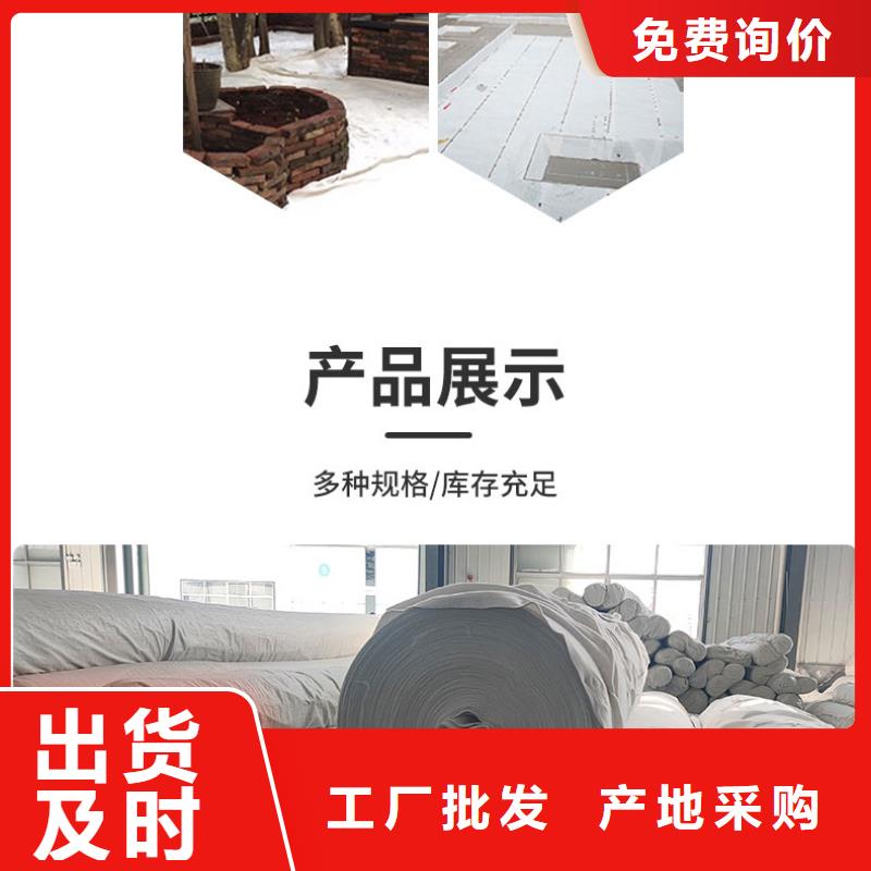 土工布膨润土防水毯高品质诚信厂家