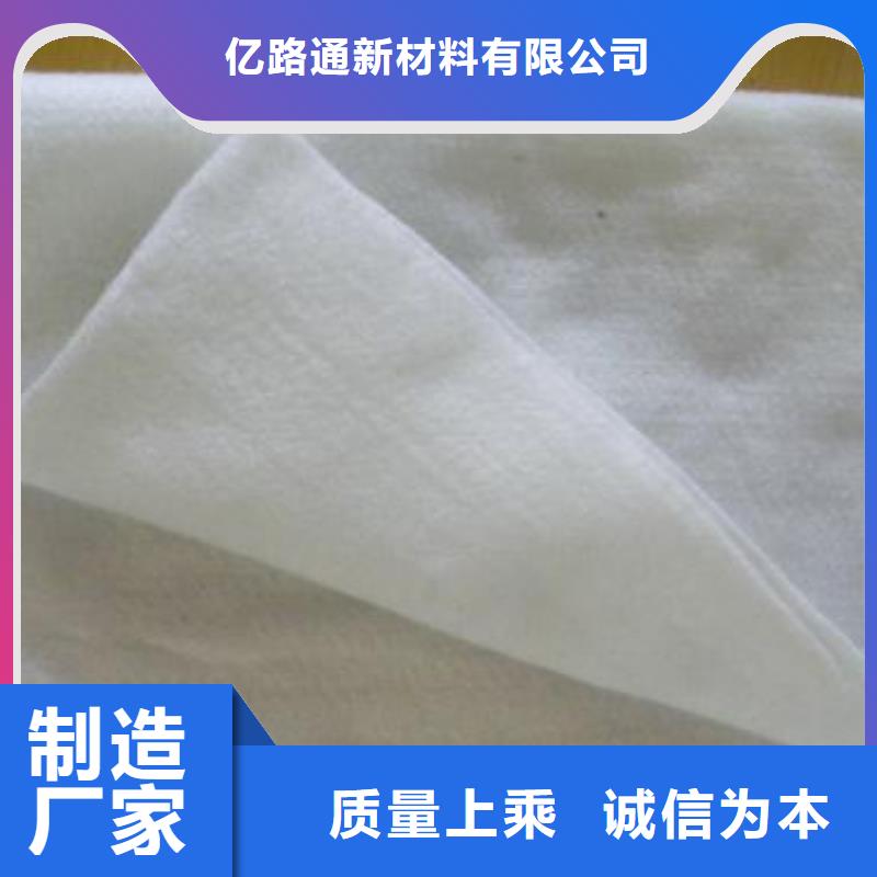 土工布鋼塑土工格柵實拍品質保障