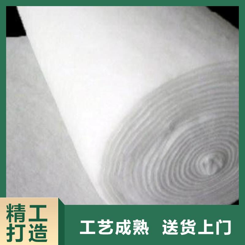 短絲土工布丙綸土工布2025年報價