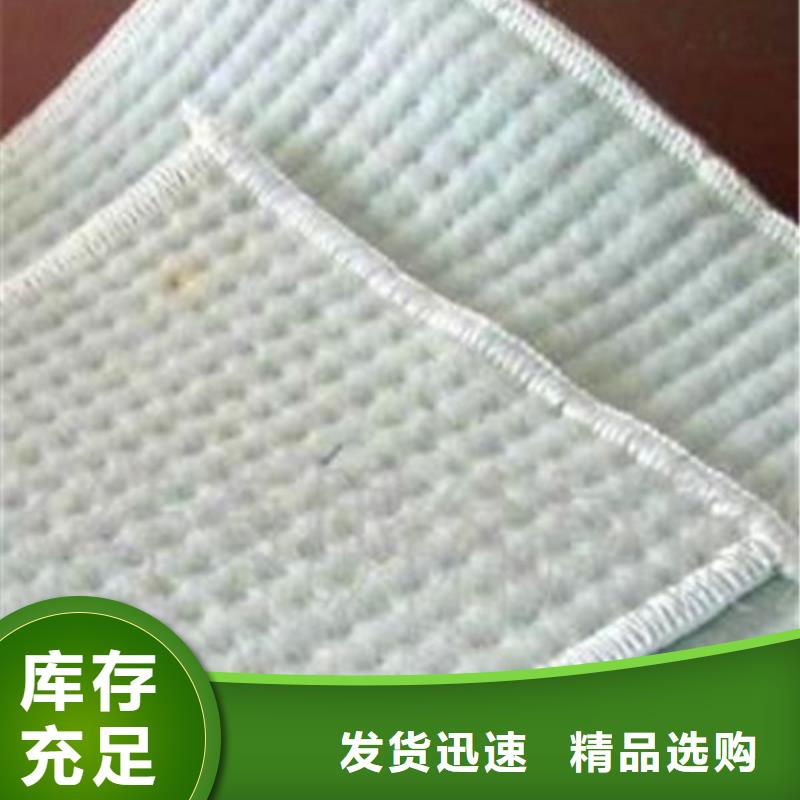 膨润土防水毯双向塑料土工格栅一周内发货
