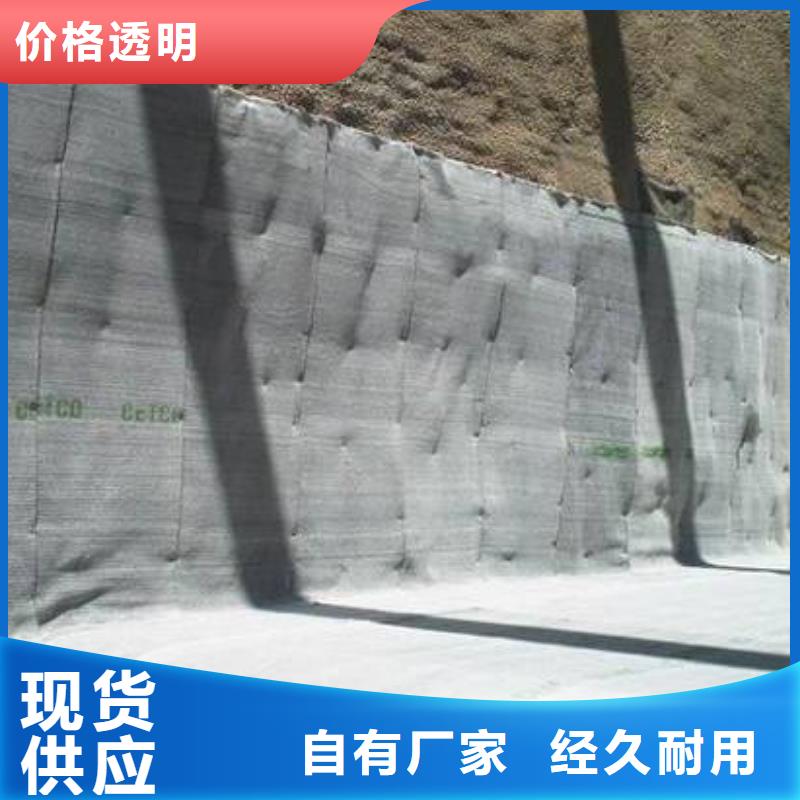 膨润土防水毯双向塑料土工格栅一周内发货