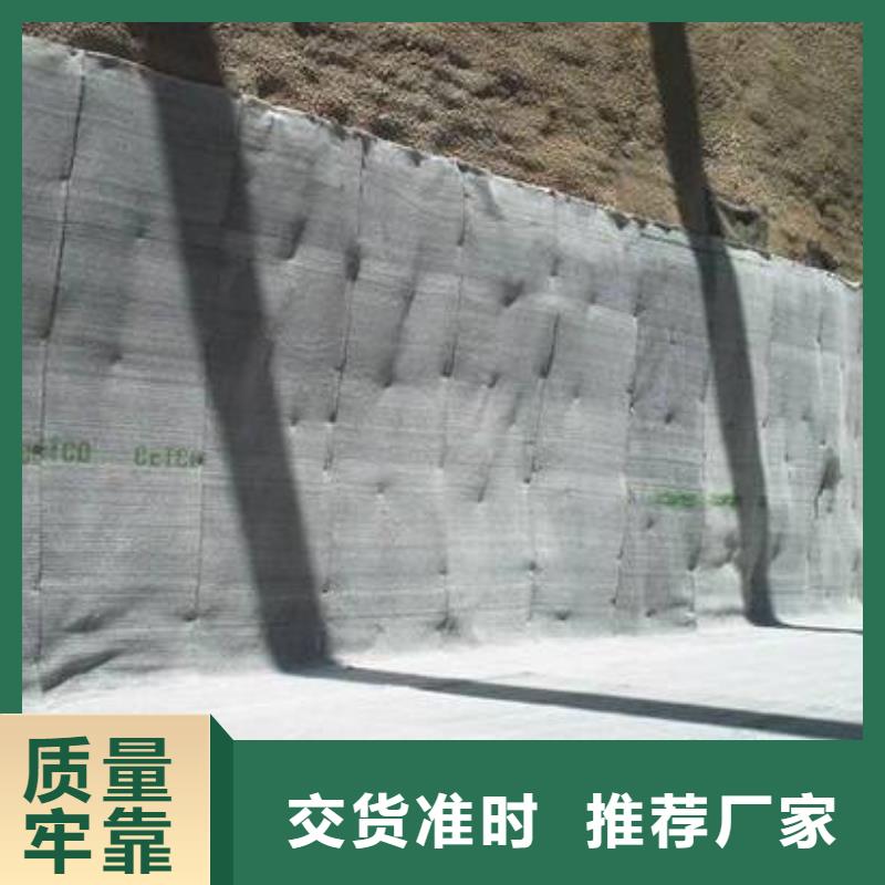 膨潤土復合防水毯實力廠家/現貨供應