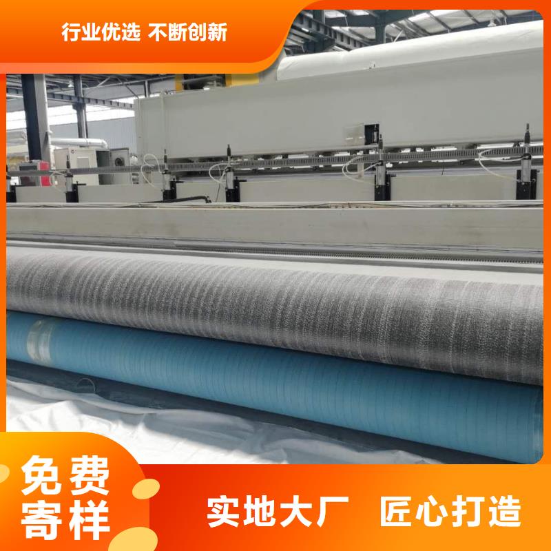 膨潤土防水毯塑料土工格柵專業(yè)設計