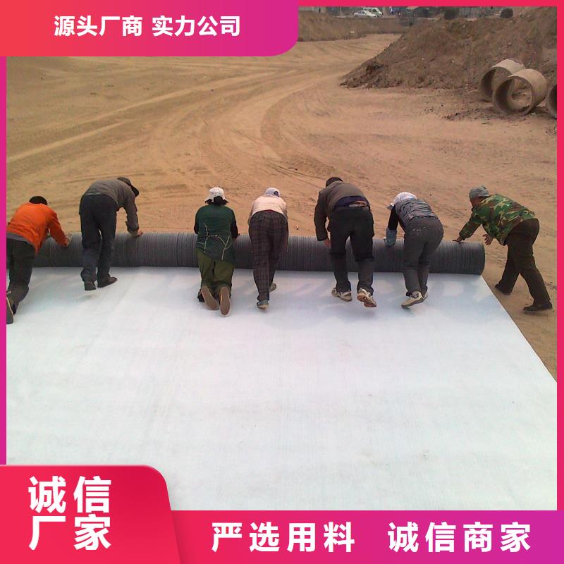 膨潤土防水毯滌綸土工格柵廠家品控嚴格
