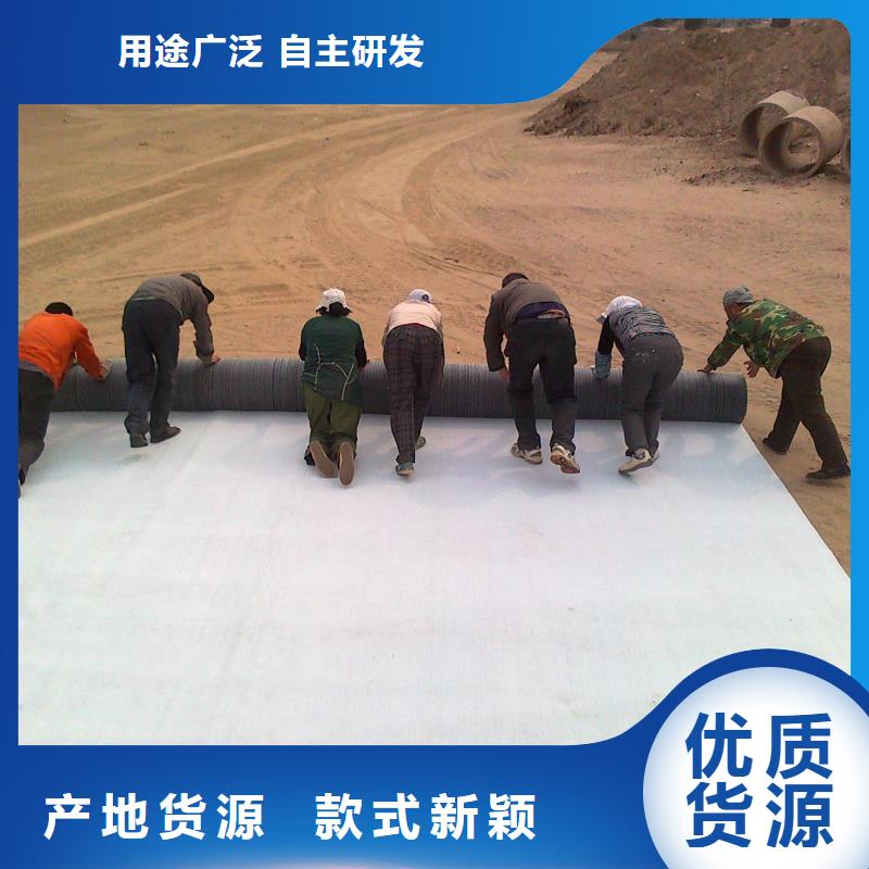 膨润土防水毯土工格室专注细节更放心