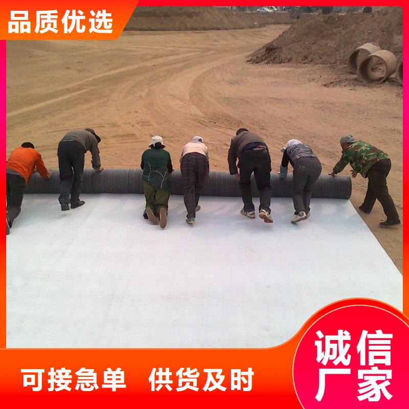 【膨潤土防水毯鋼塑土工格柵用心制造】