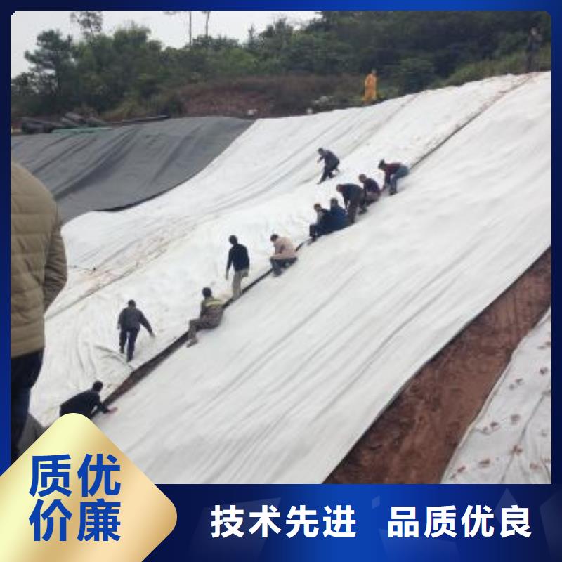 复合土工膜视频-复合土工膜-山东省青岛市【当地】生产商-崂山|四方|临沂|莱芜|德州|滨州|东营