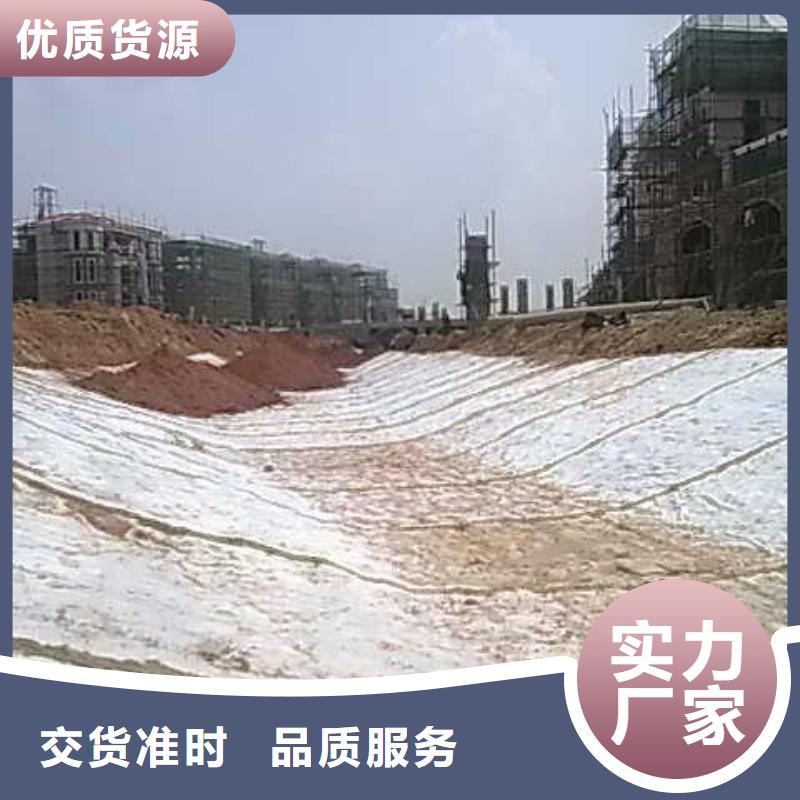 【膨润土防水毯】 垃圾填埋场材料买的是放心-可发货到钟楼|新北|盐城|宿迁|镇江|徐州