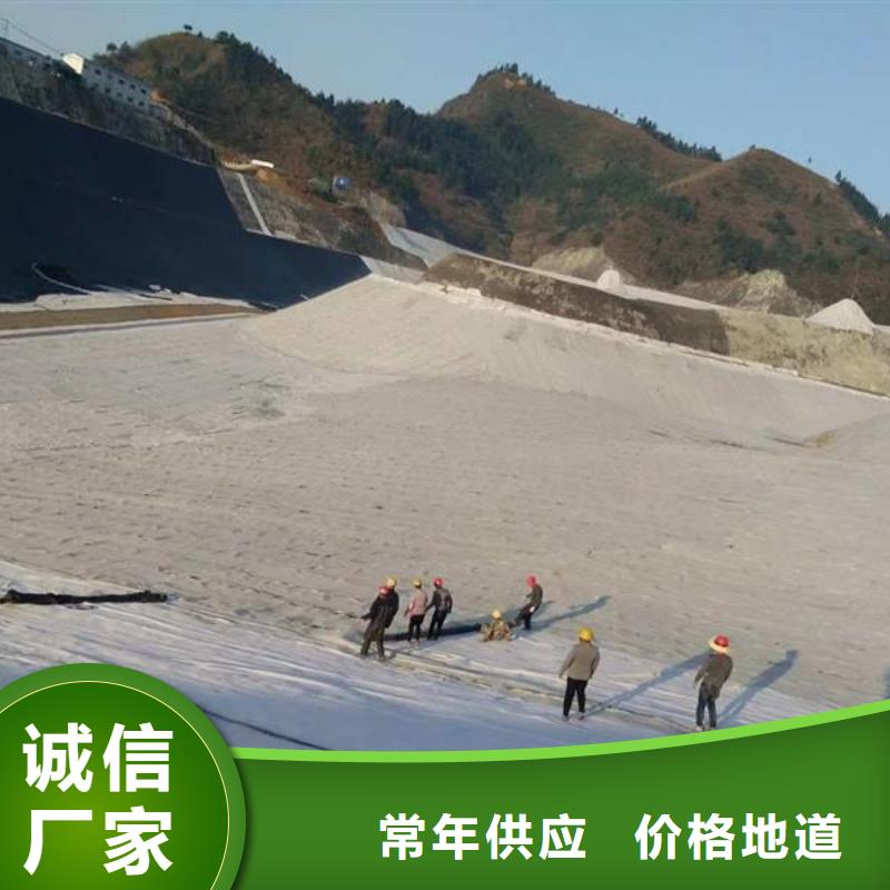 膨潤土復合防水毯實力廠家/現貨供應