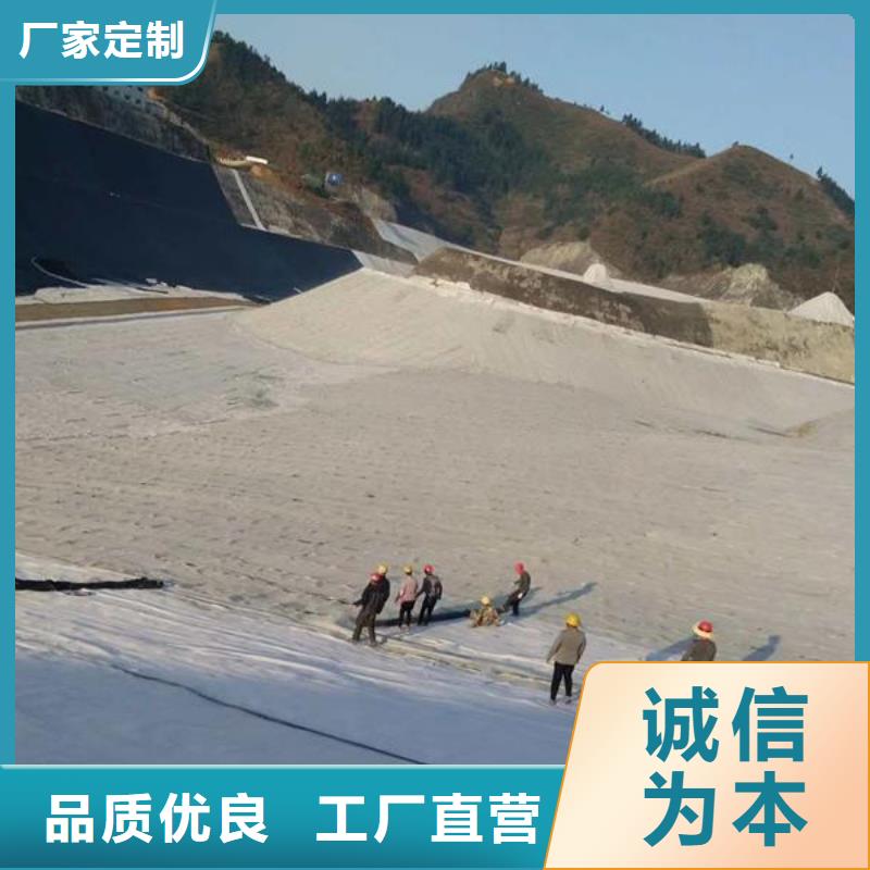 膨潤土防水毯聚乙烯土工膜現貨充足
