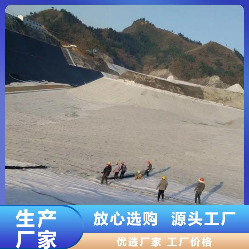 膨润土防水毯HDPE黑色土工膜现货充足量大优惠