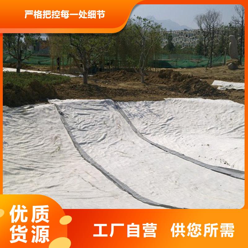 膨潤土防水毯-【玻纖土工格柵】產品細節參數