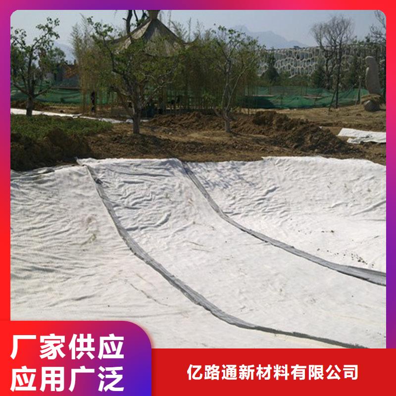 膨潤土防水毯_塑料土工濾網優選好材鑄造好品質