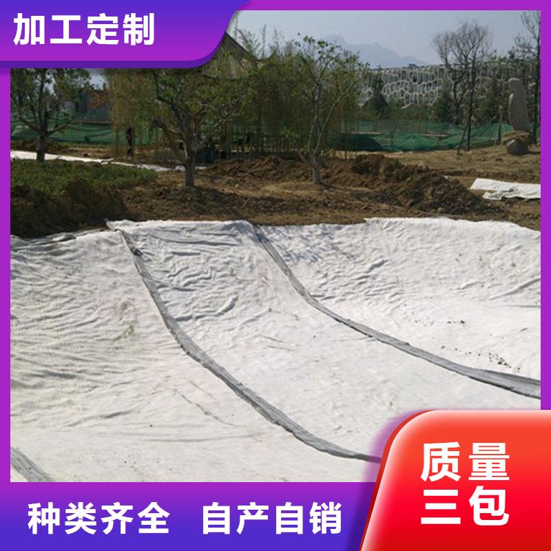 2025防渗覆膜防水毯型号齐全-可定制