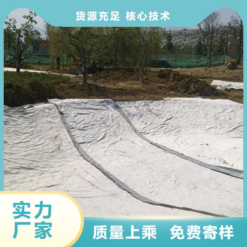 膨潤(rùn)土防水毯HDPE土工膜真誠(chéng)合作