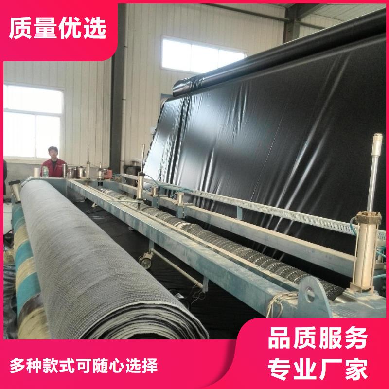 膨潤土防水毯養護土工布供應商