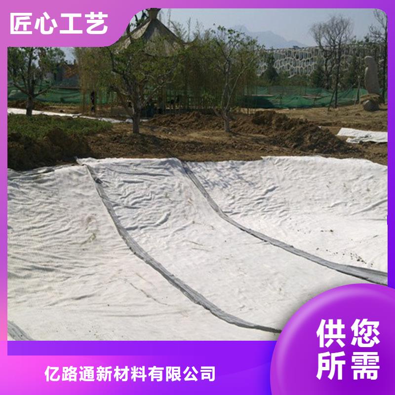膨潤土防水毯復合土工膜使用壽命長久