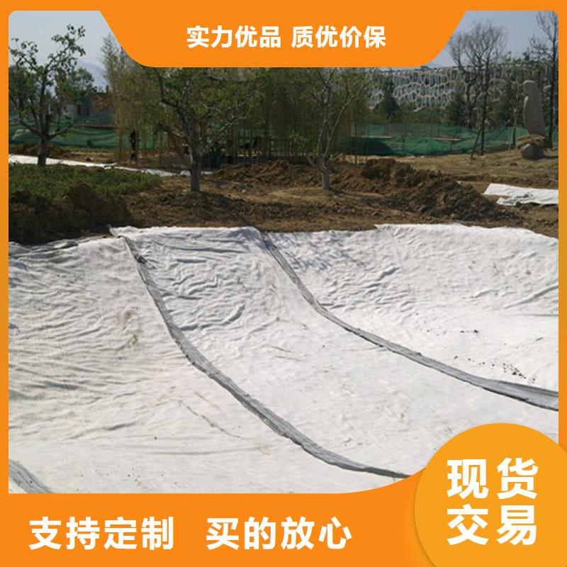 膨润土防水毯双向塑料土工格栅一周内发货
