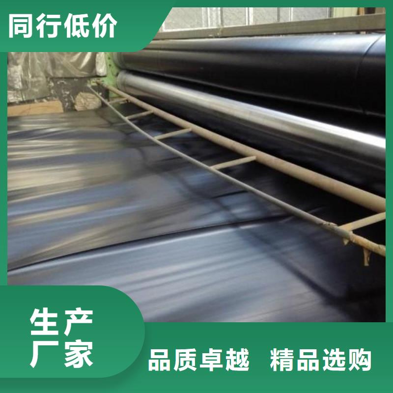 土工膜单向塑料土工格栅现货直供