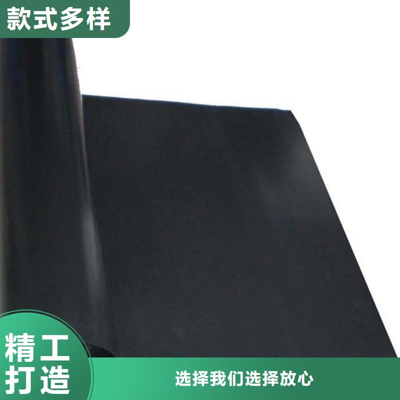 土工膜单向塑料土工格栅现货直供