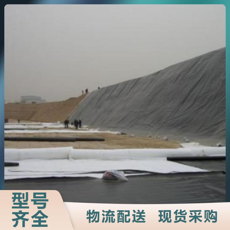 土工膜單向塑料土工格柵現貨直供