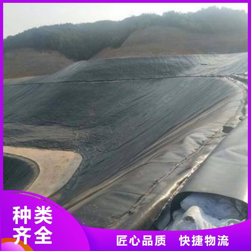 土工膜三维土工网垫随到随提