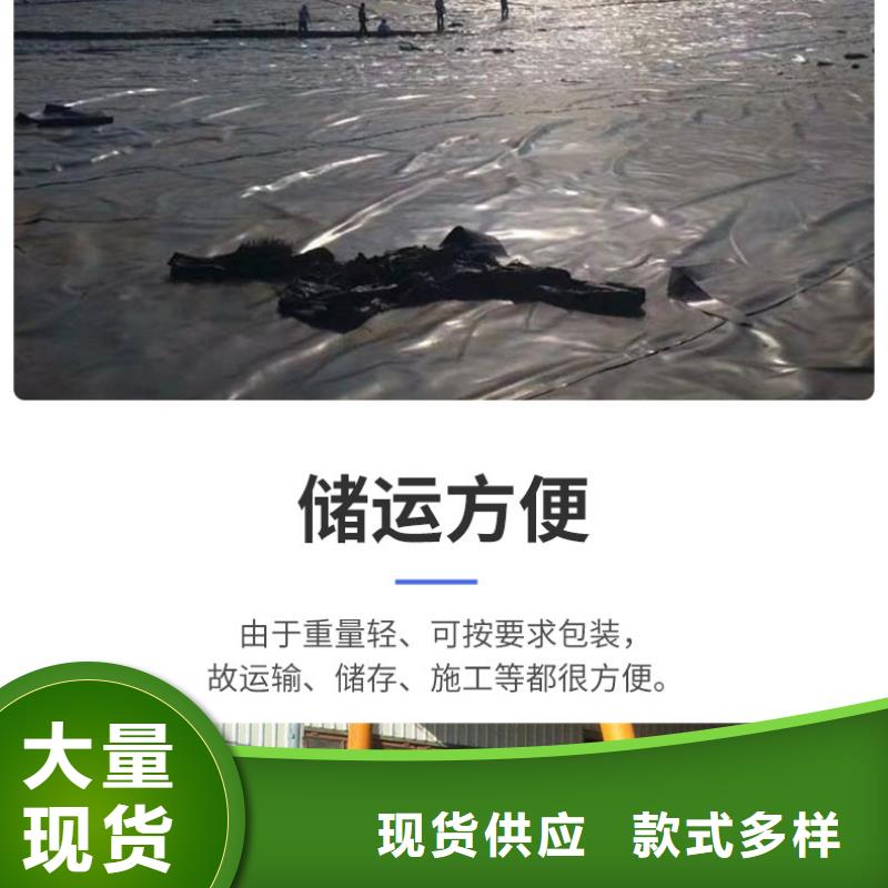 土工膜單向塑料土工格柵現貨直供