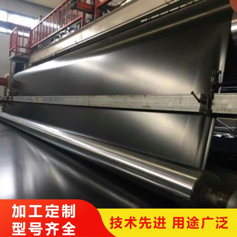 土工膜单向塑料土工格栅现货直供