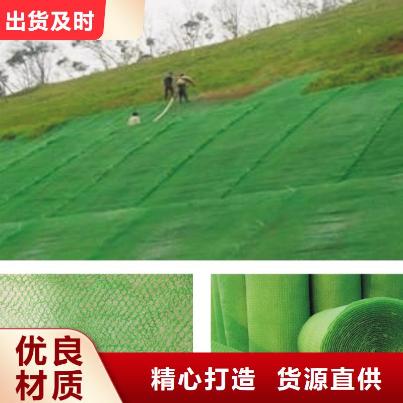 三維植被網塑料土工格柵實拍展現