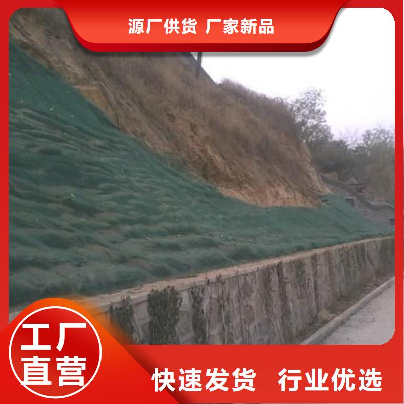20252025邊坡防護三維植被網生產廠家-現貨供應