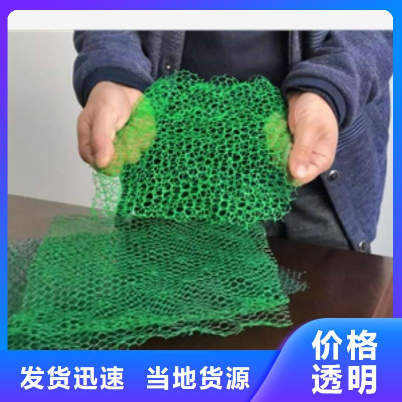 三維植被網塑料土工格柵實拍展現