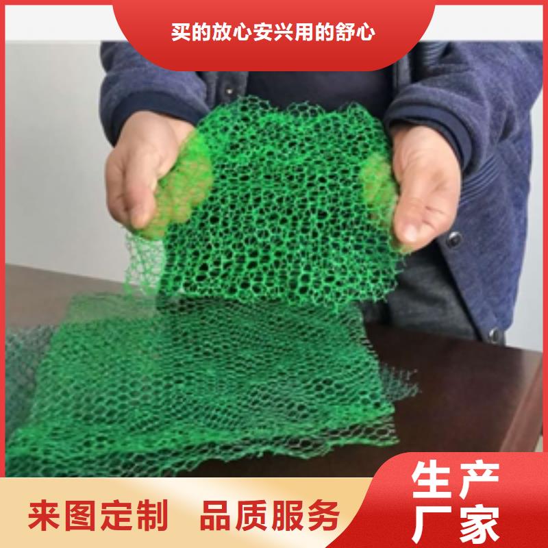 20252025固土綠化三維植被網規(guī)格型號齊全-可定制