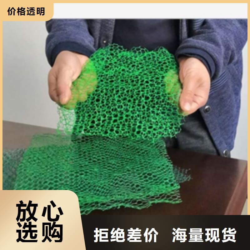 三維植被網(wǎng)防滲膜來(lái)圖定制
