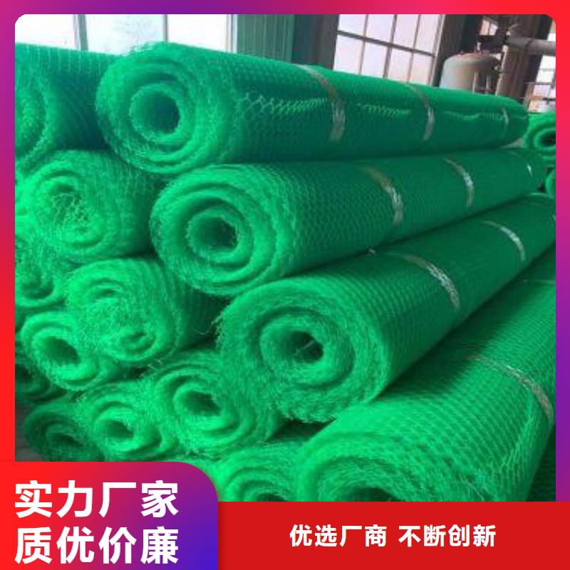 三维植被网三维土工网垫现货供应