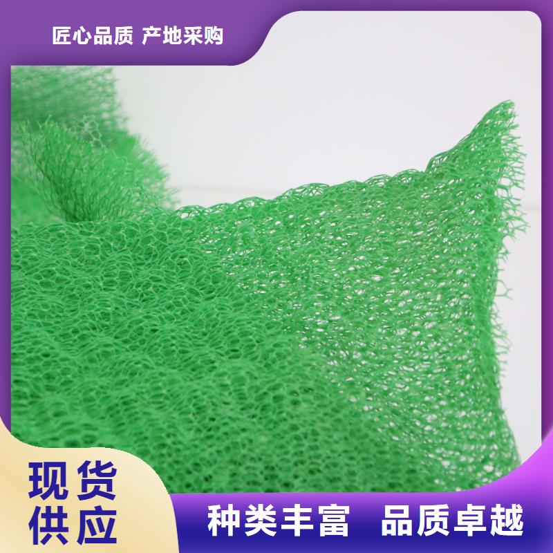 【三維植被網(wǎng)】玻纖土工格柵工期短發(fā)貨快