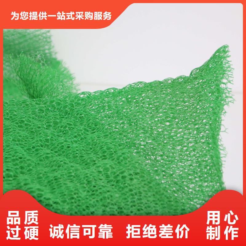 三維植被網聚乙烯土工膜敢與同行比質量