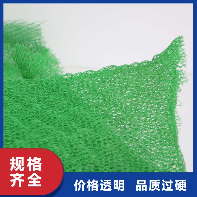 20252025邊坡防護三維植被網規格型號齊全-可定制