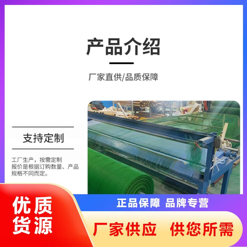 三維植被網防滲膜來圖定制
