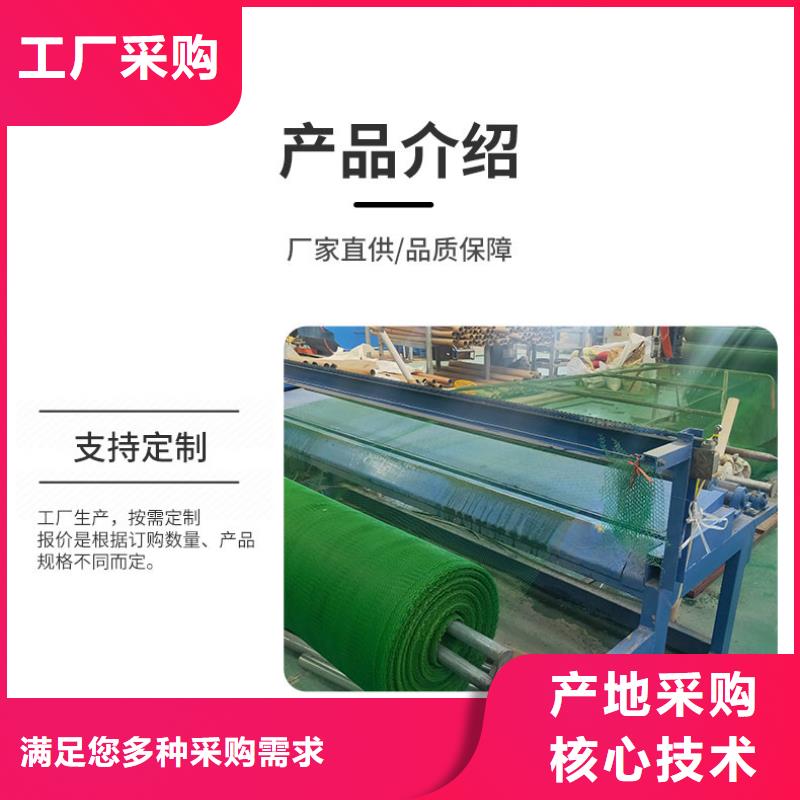 三維植被網-鋼塑土工格柵同行低價
