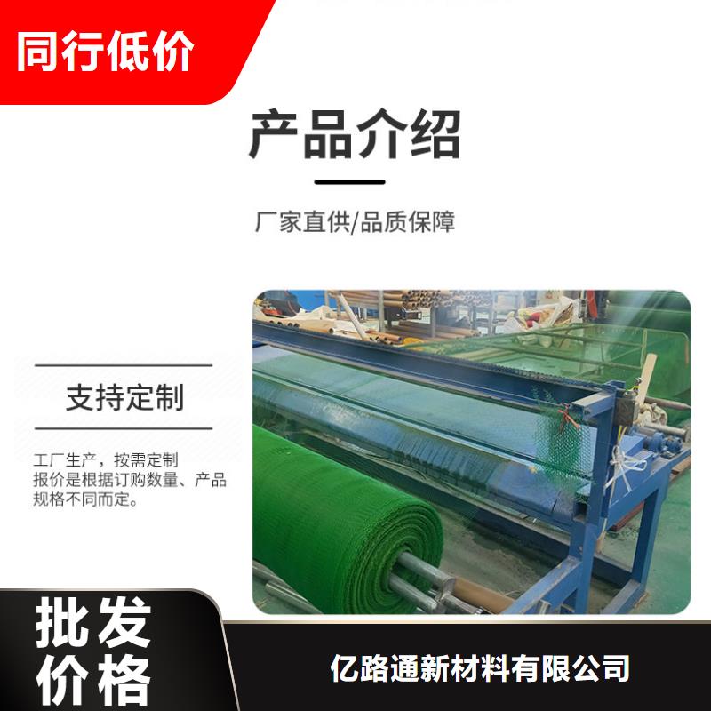 三维植被网三维土工网垫现货供应